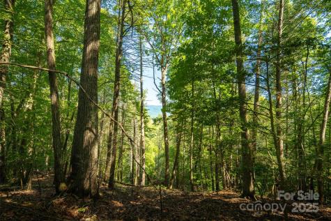 Tbd Winklers Way Road Lenoir NC 28645