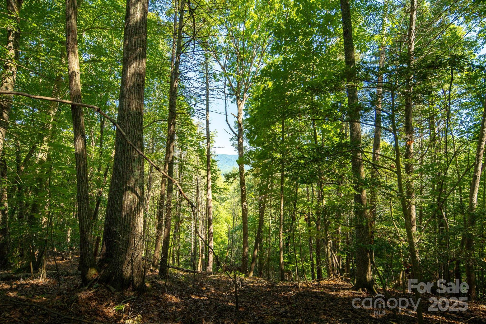 Tbd Winklers Way Road Lenoir NC 28645