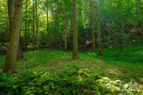 Tbd Winklers Way Road Lenoir NC 28645