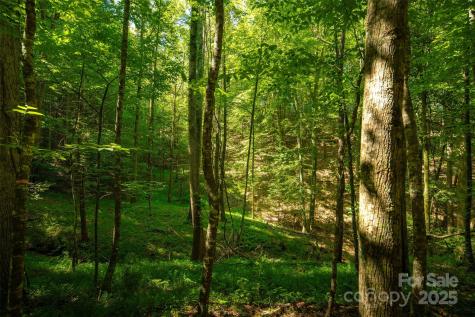 Tbd Winklers Way Road Lenoir NC 28645