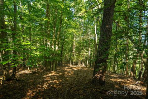 Tbd Winklers Way Road Lenoir NC 28645