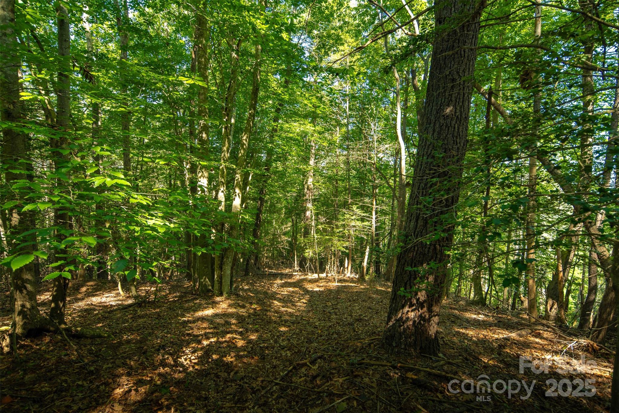 Tbd Winklers Way Road Lenoir NC 28645