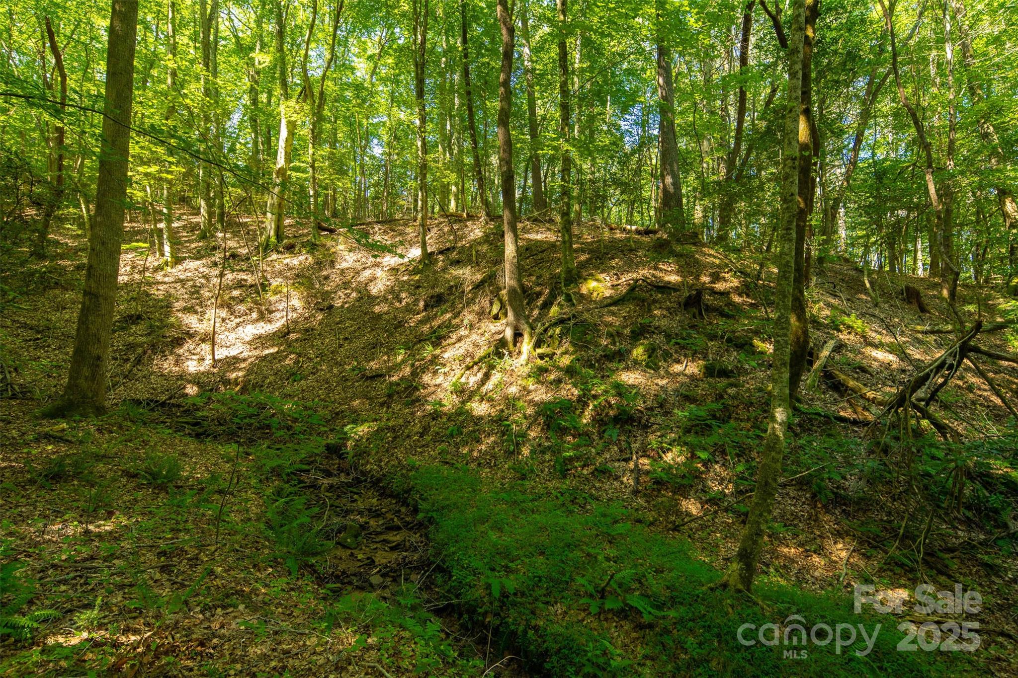 Tbd Winklers Way Road Lenoir NC 28645