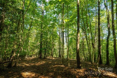 Tbd Winklers Way Road Lenoir NC 28645