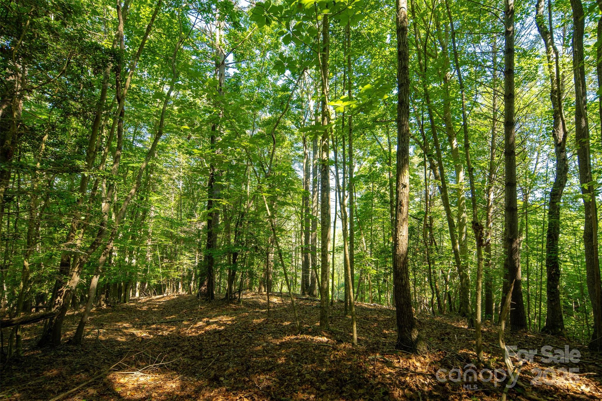 Tbd Winklers Way Road Lenoir NC 28645