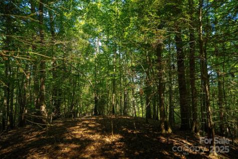 Tbd Winklers Way Road Lenoir NC 28645