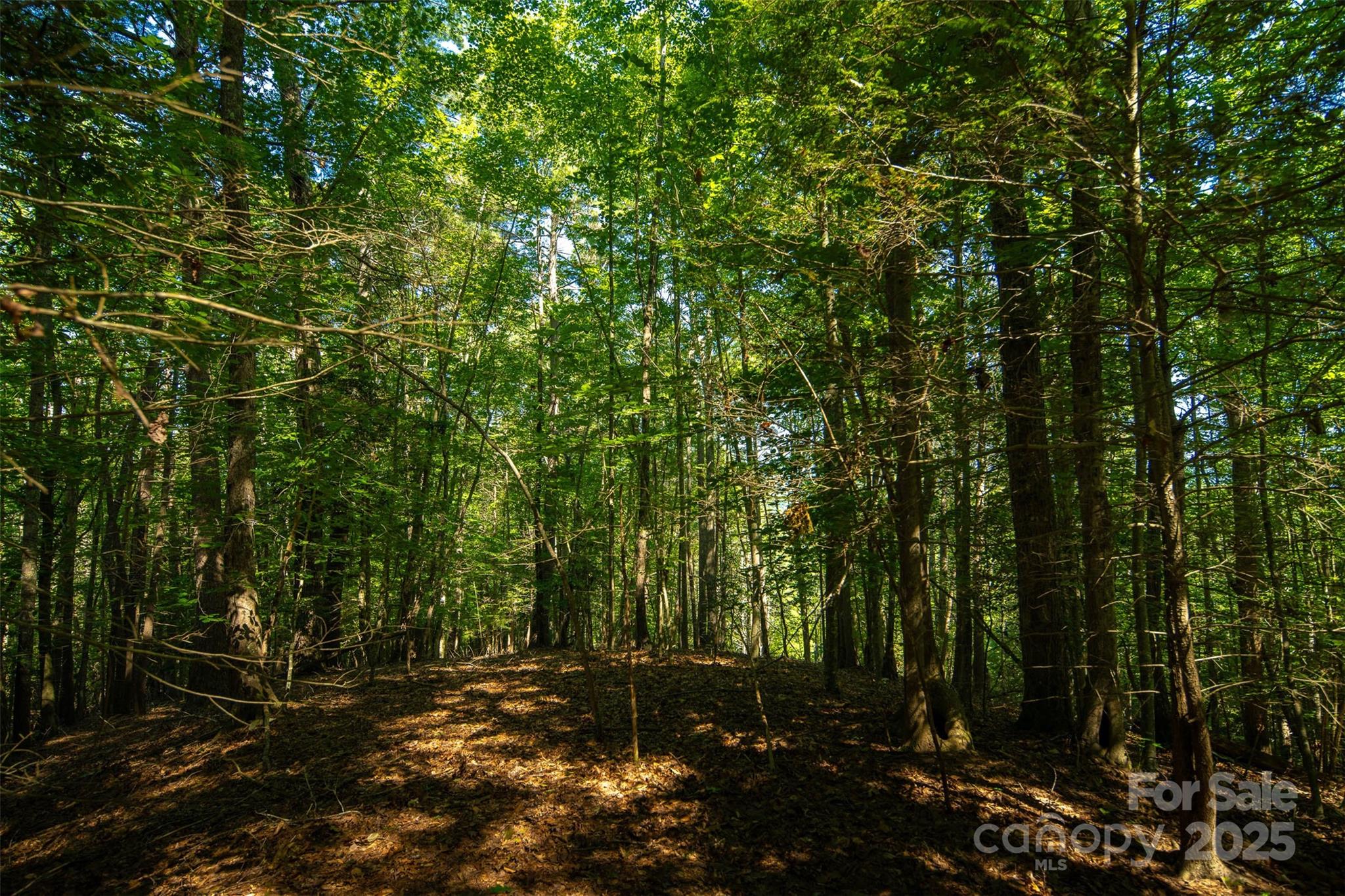 Tbd Winklers Way Road Lenoir NC 28645