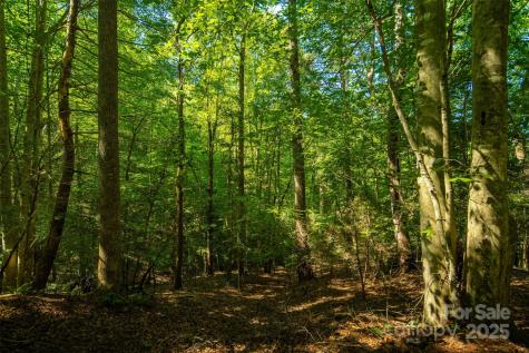 Tbd Winklers Way Road Lenoir NC 28645