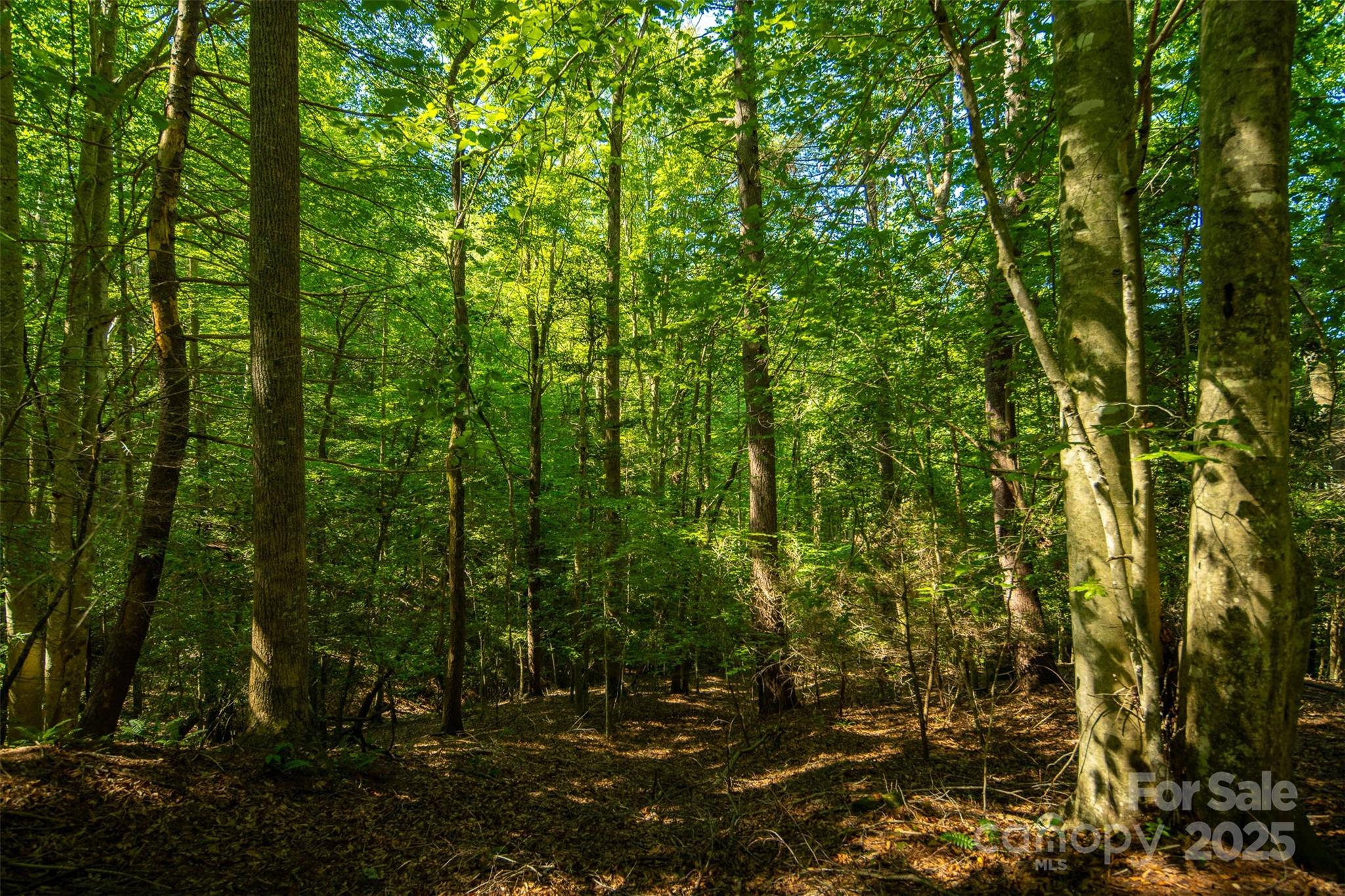 Tbd Winklers Way Road Lenoir NC 28645