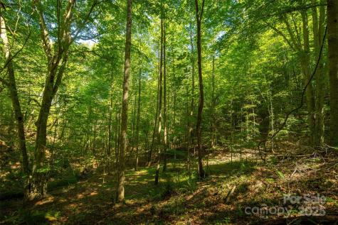 Tbd Winklers Way Road Lenoir NC 28645
