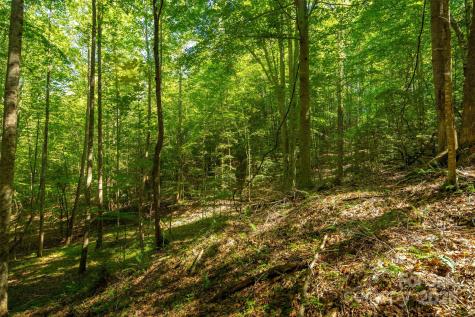 Tbd Winklers Way Road Lenoir NC 28645