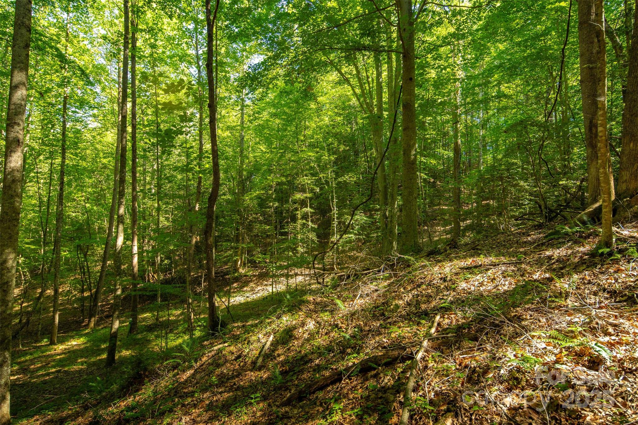 Tbd Winklers Way Road Lenoir NC 28645
