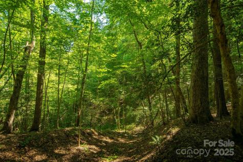 Tbd Winklers Way Road Lenoir NC 28645
