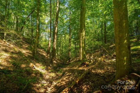 Tbd Winklers Way Road Lenoir NC 28645
