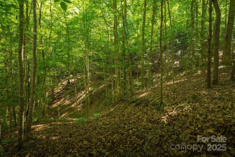 Tbd Winklers Way Road Lenoir NC 28645