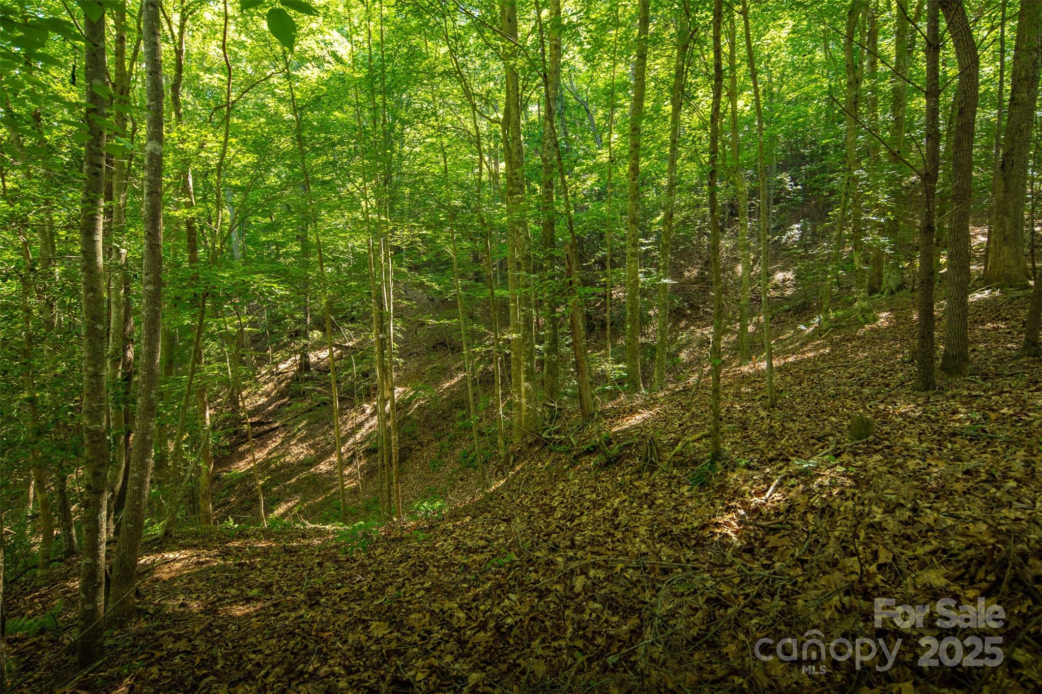 Tbd Winklers Way Road Lenoir NC 28645