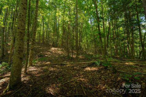 Tbd Winklers Way Road Lenoir NC 28645