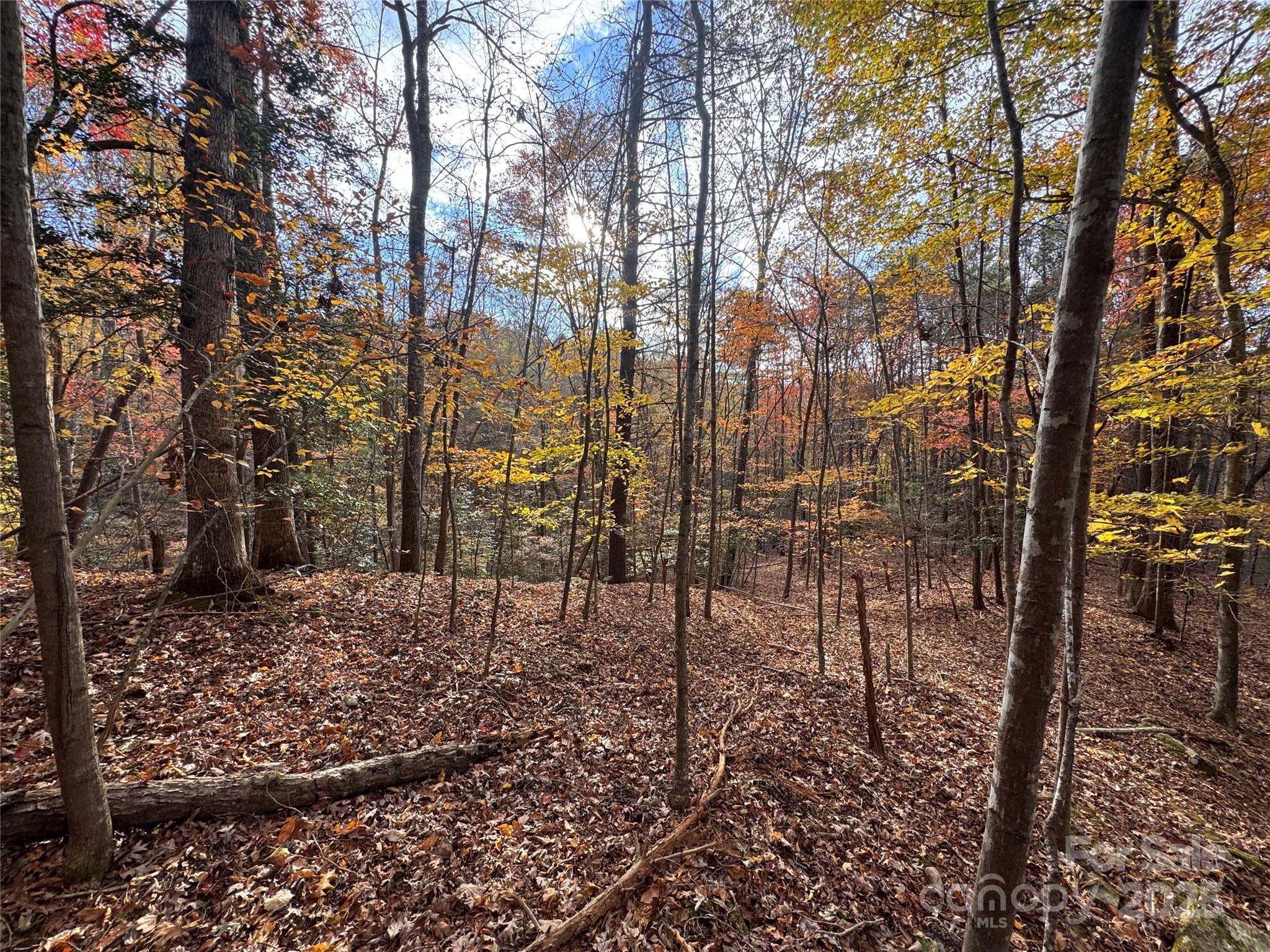 Tbd Winklers Way Road Lenoir NC 28645