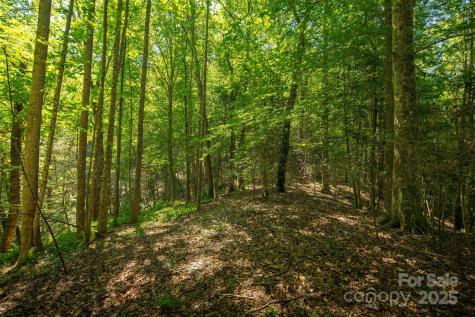 Tbd Winklers Way Road Lenoir NC 28645