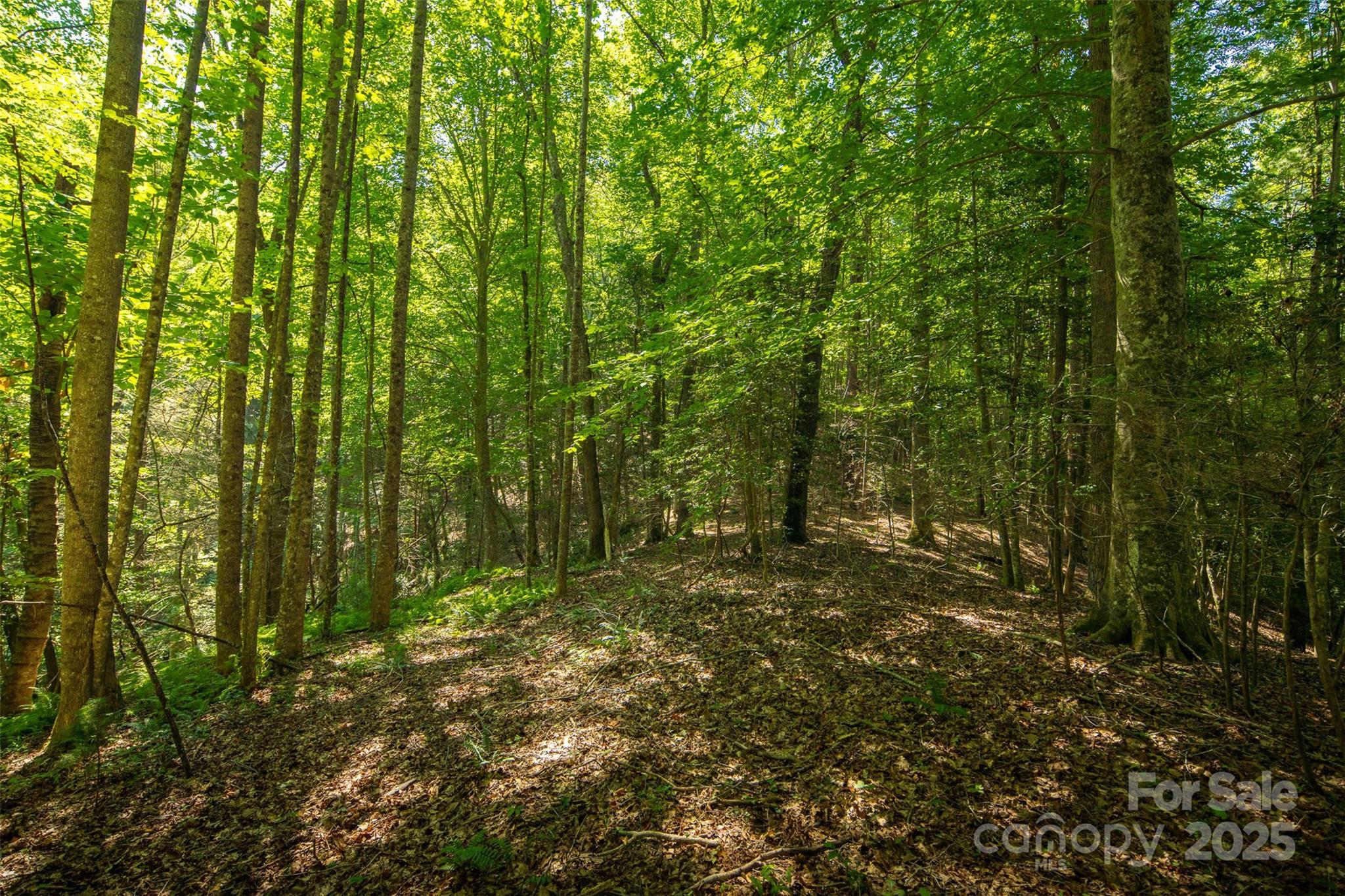 Tbd Winklers Way Road Lenoir NC 28645