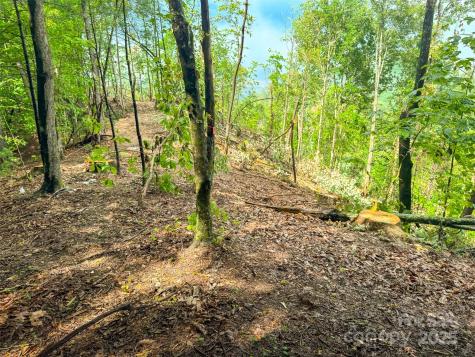 Tbd Winklers Way Road Lenoir NC 28645