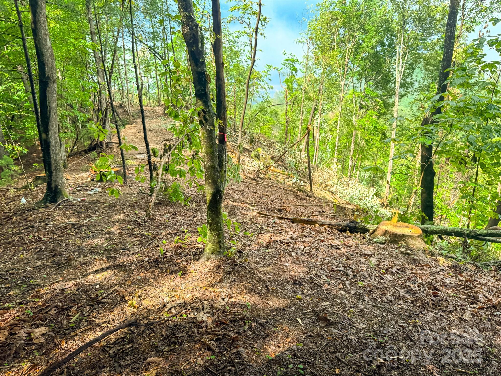 Tbd Winklers Way Road Lenoir NC 28645