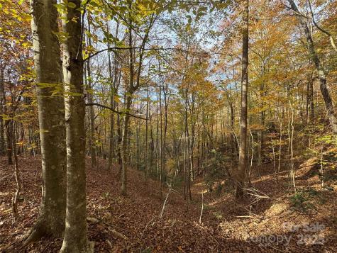 Tbd Winklers Way Road Lenoir NC 28645