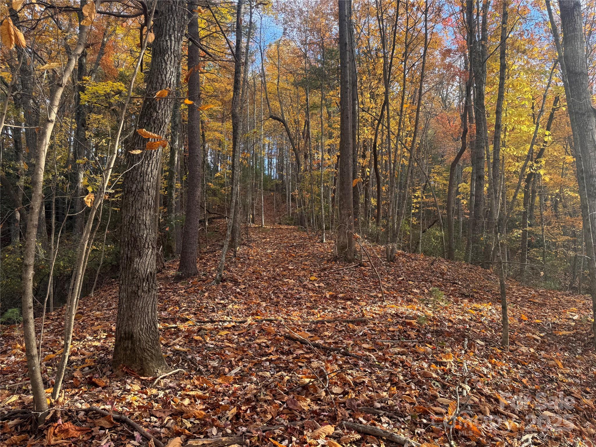 Tbd Winklers Way Road Lenoir NC 28645