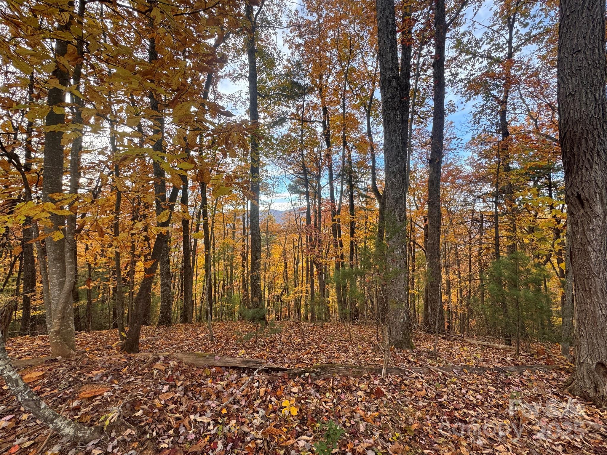Tbd Winklers Way Road Lenoir NC 28645