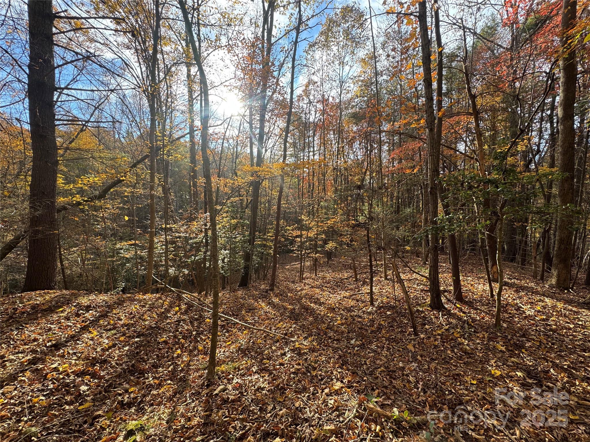 Tbd Winklers Way Road Lenoir NC 28645