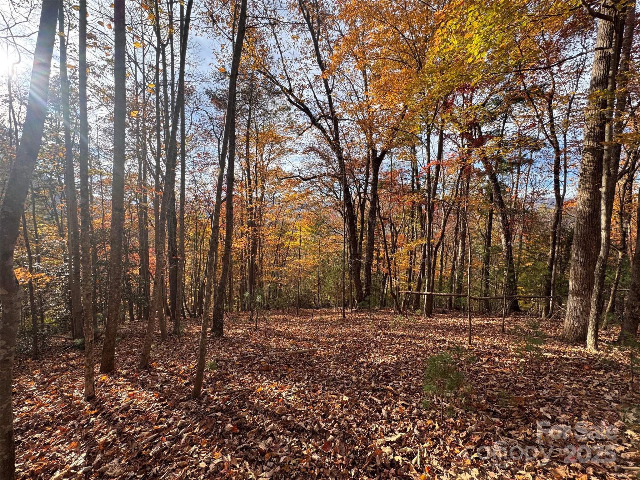 Tbd Winklers Way Road Lenoir NC 28645