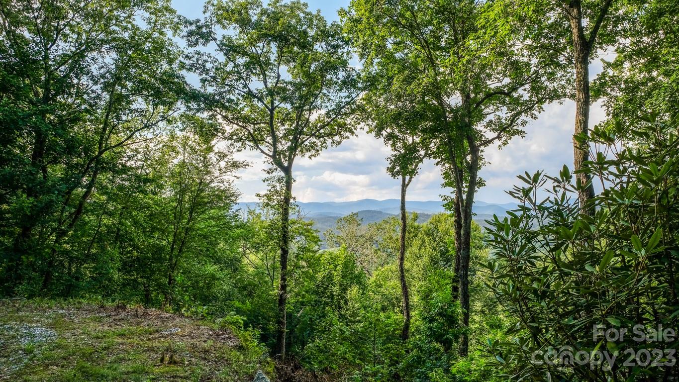 427 Quarry Road Lake Toxaway NC 28747