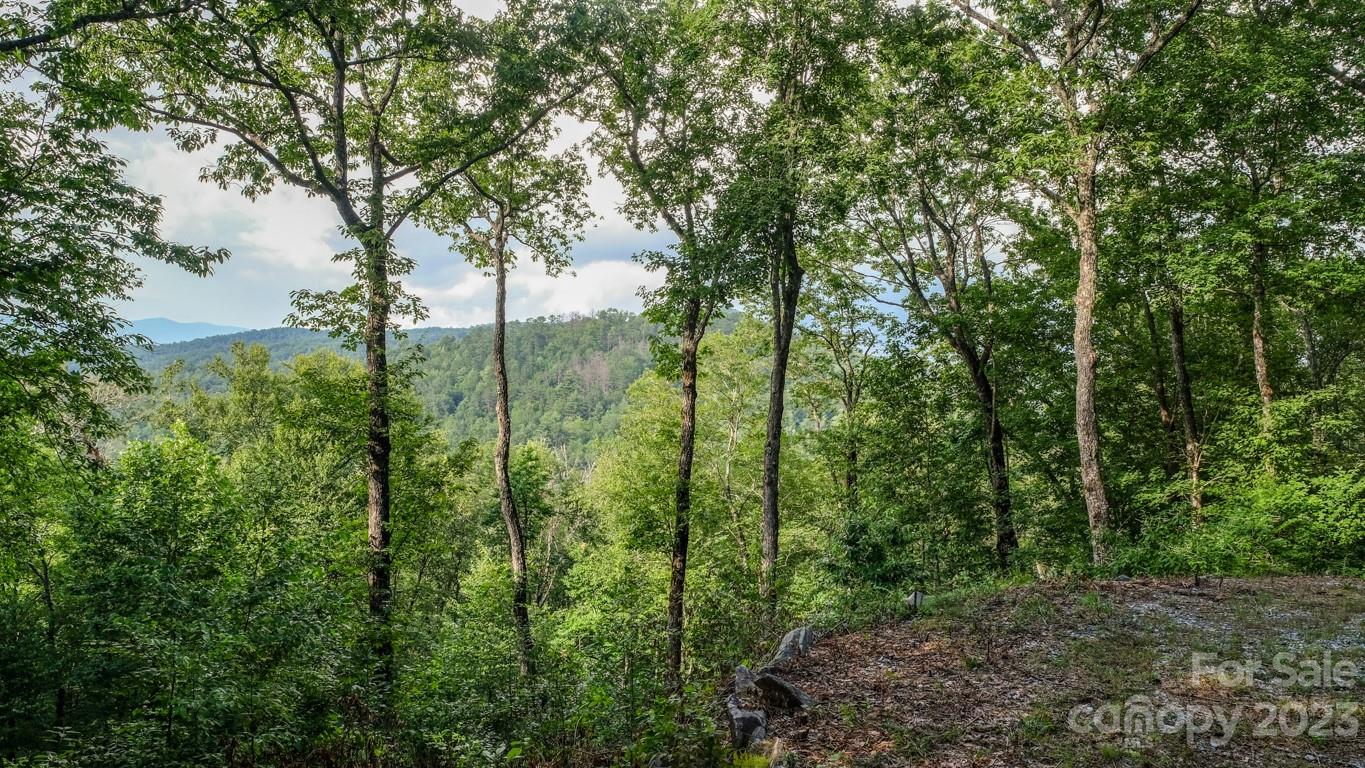 427 Quarry Road Lake Toxaway NC 28747