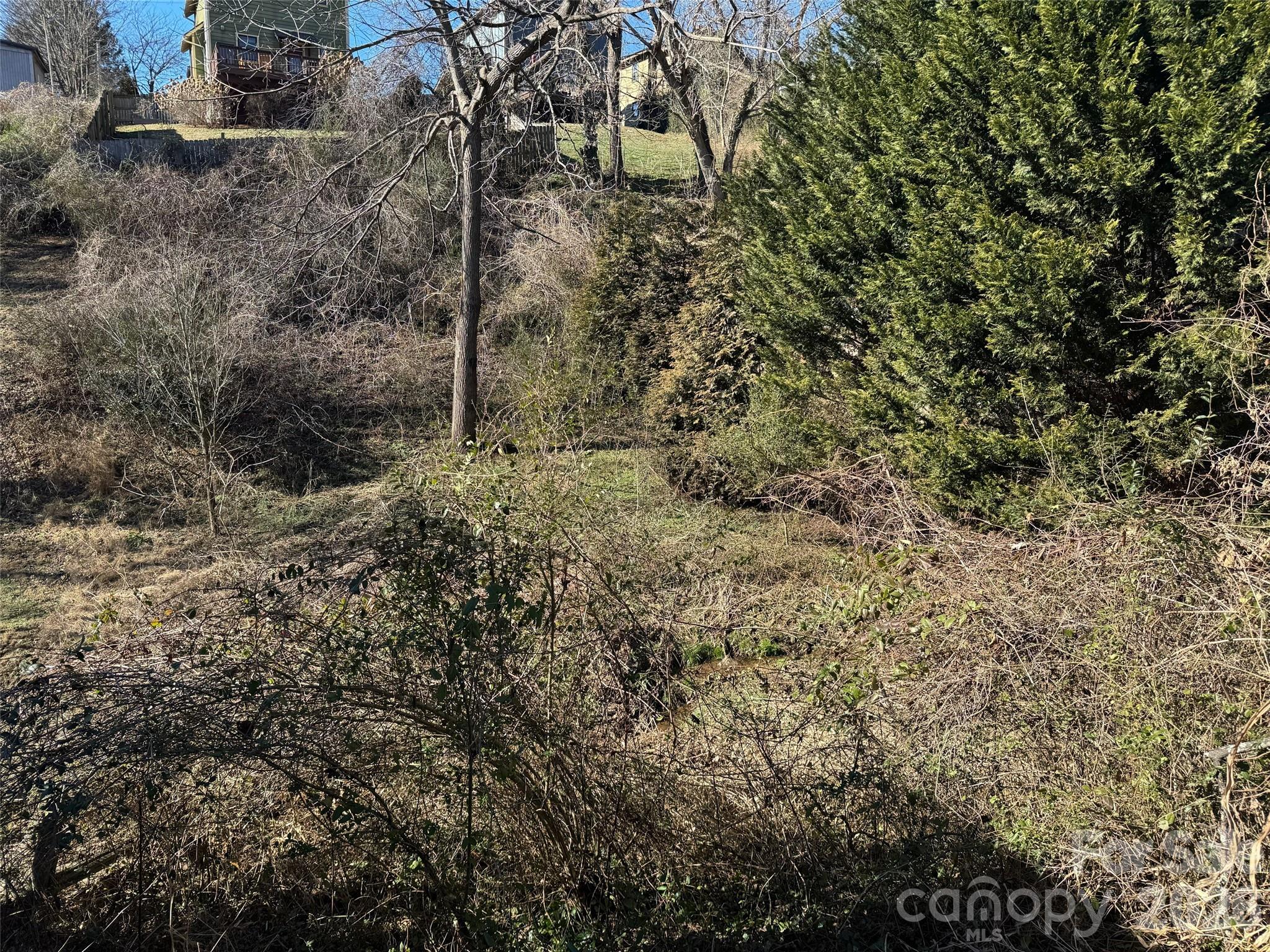 56 Moore Avenue Asheville NC 28806