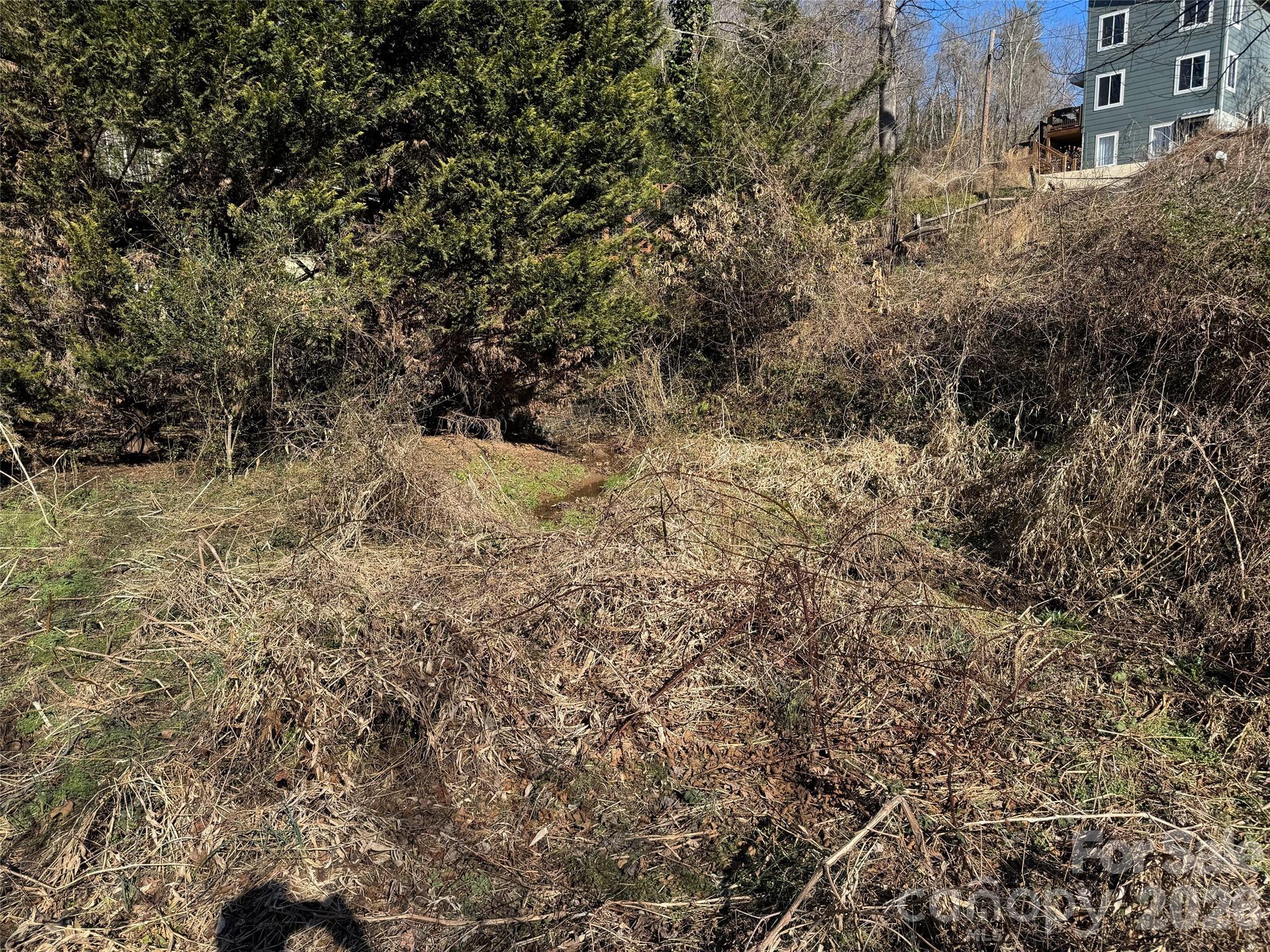 56 Moore Avenue Asheville NC 28806