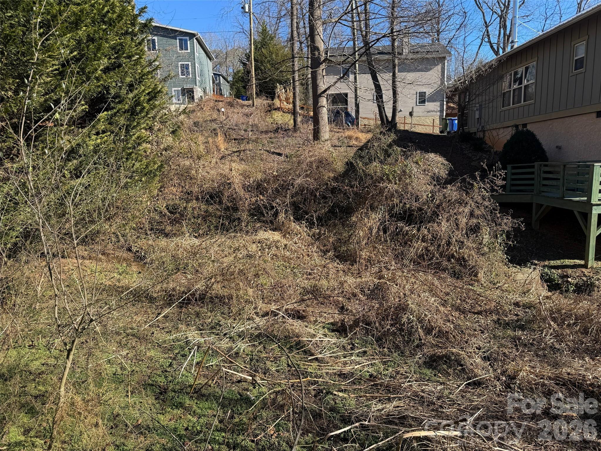 56 Moore Avenue Asheville NC 28806