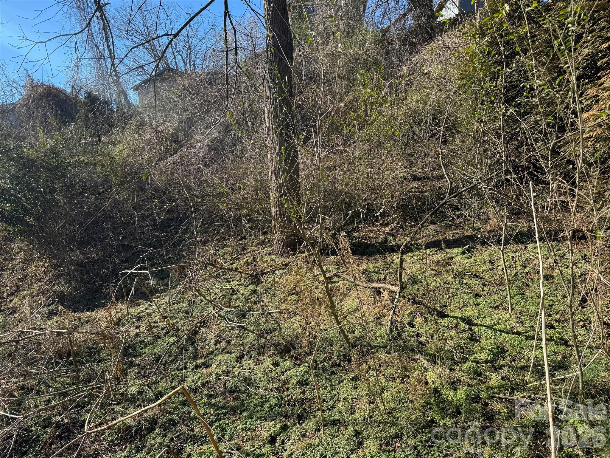 56 Moore Avenue Asheville NC 28806