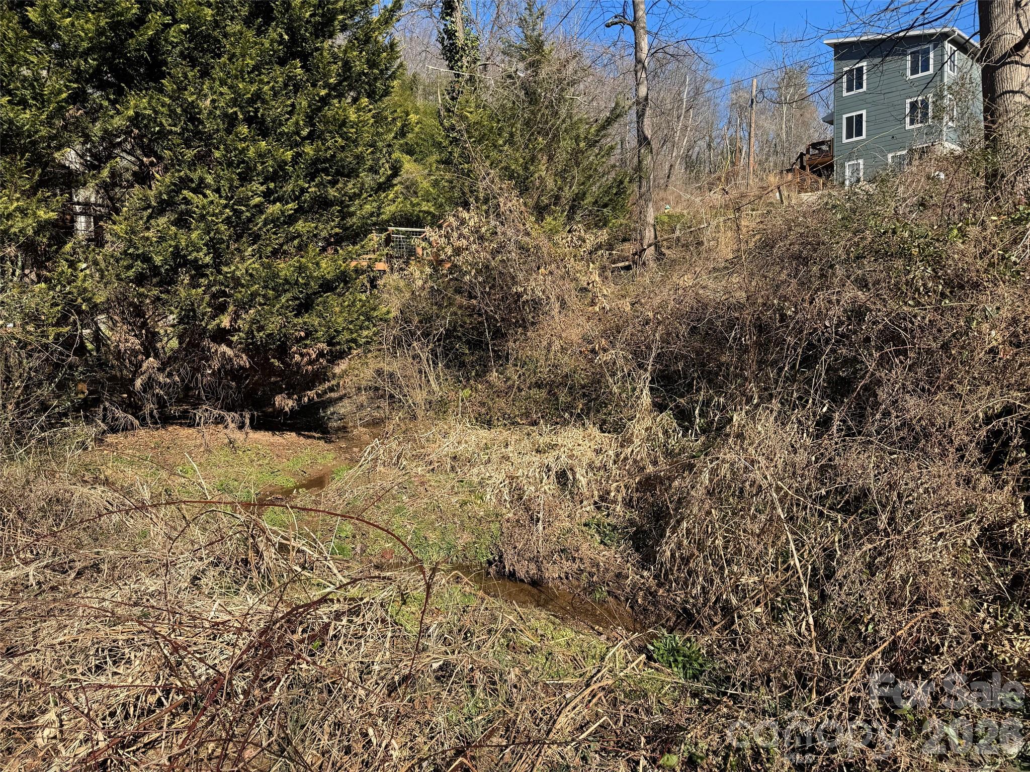 56 Moore Avenue Asheville NC 28806