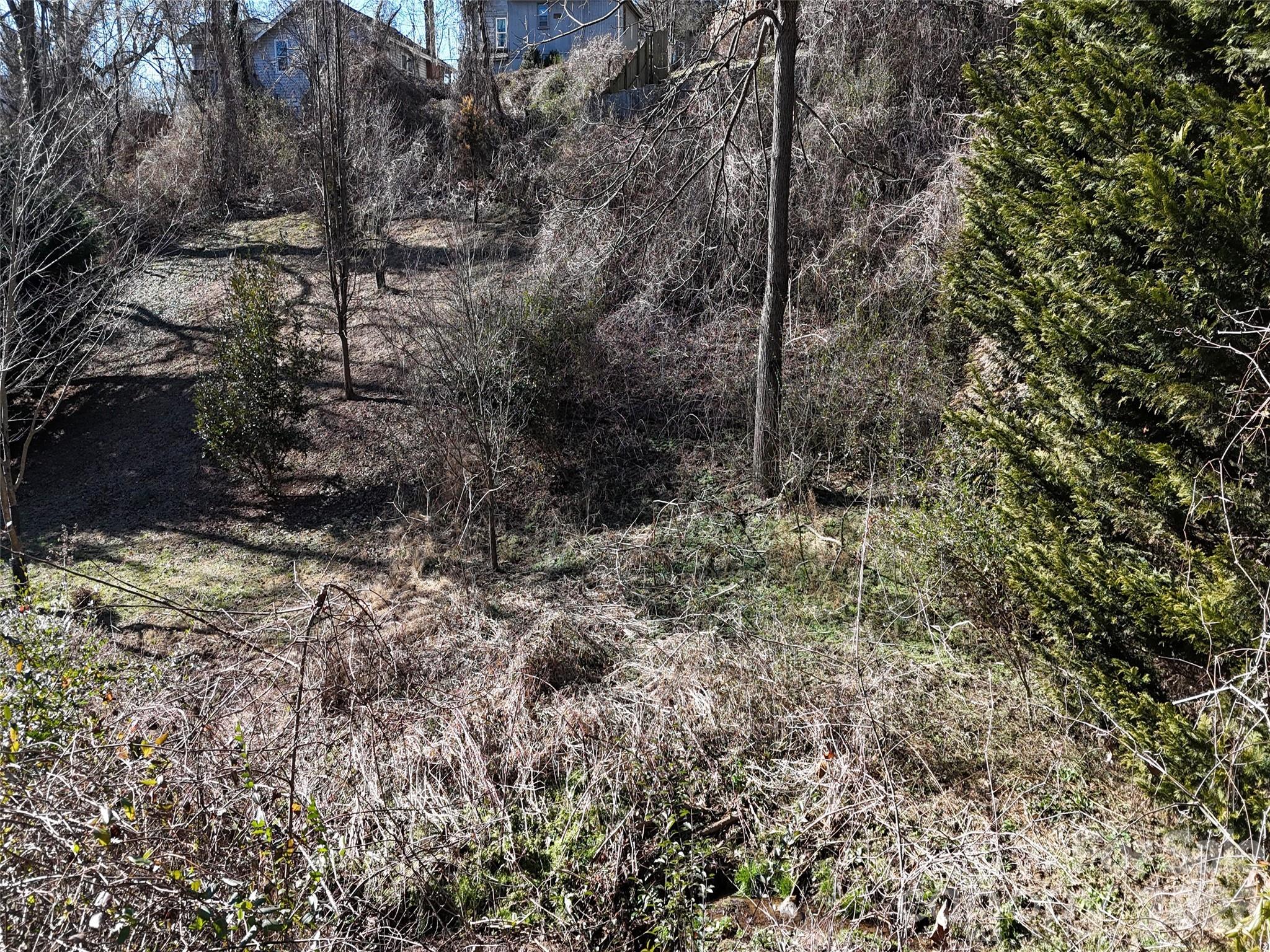 56 Moore Avenue Asheville NC 28806