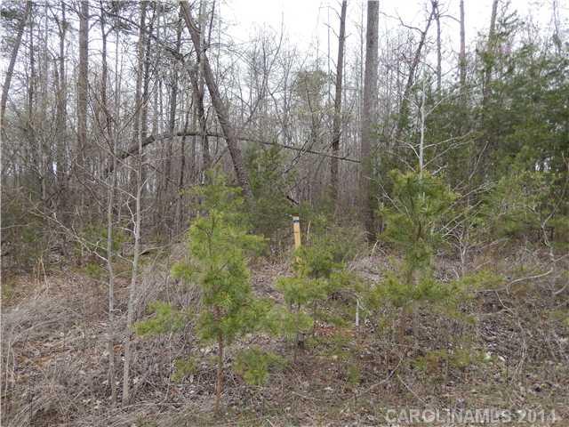 385 Bluegill Lane Statesville NC 28625