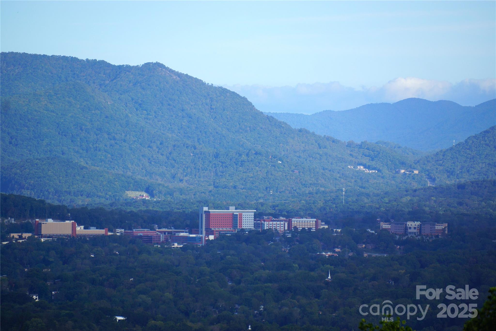 0 Woodpecker Ridge Lane Asheville NC 28806