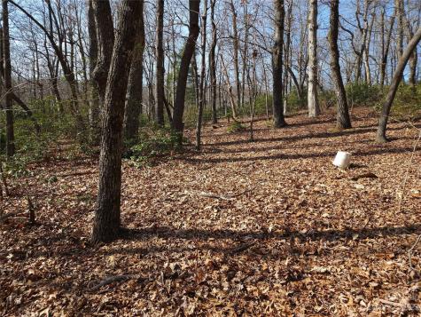 Lot 77 Three Bridges Drive Columbus NC 28722