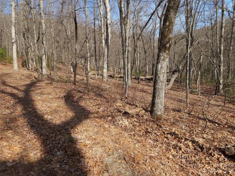 Lot 77 Three Bridges Drive Columbus NC 28722
