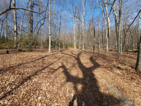 Lot 77 Three Bridges Drive Columbus NC 28722