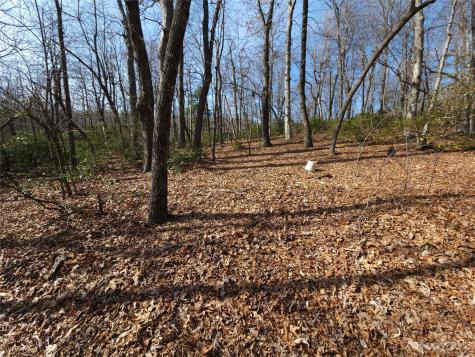 Lot 77 Three Bridges Drive Columbus NC 28722