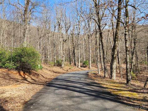Lot 77 Three Bridges Drive Columbus NC 28722