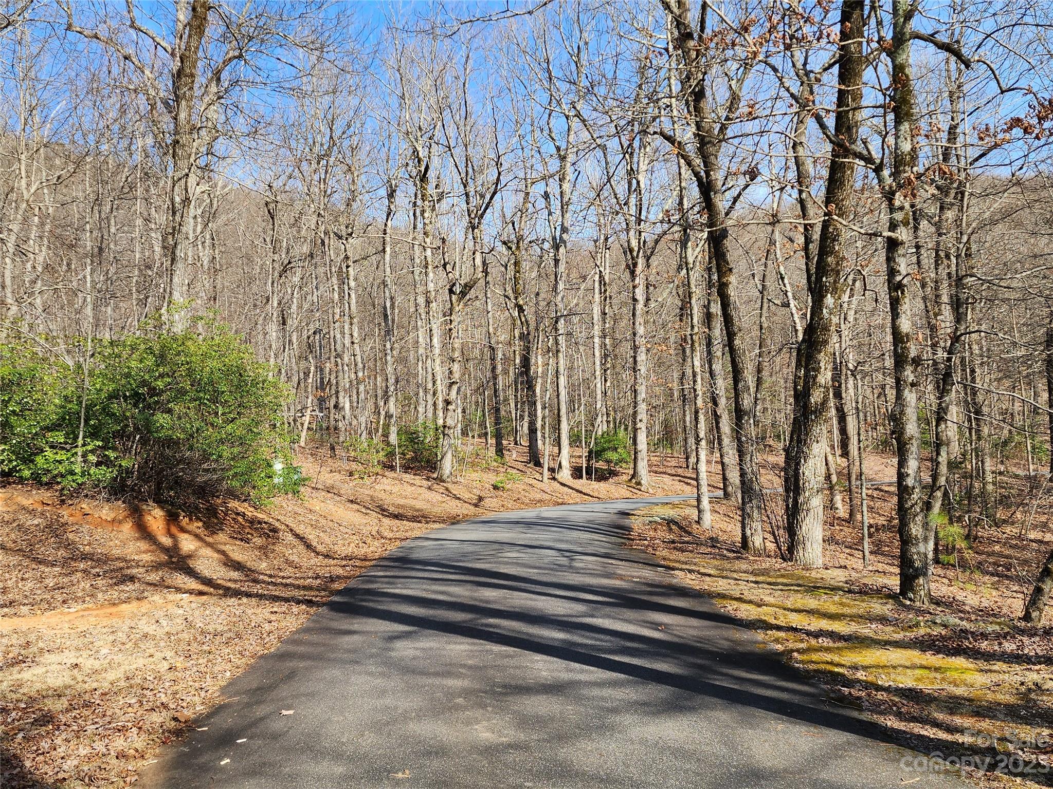 Lot 77 Three Bridges Drive Columbus NC 28722