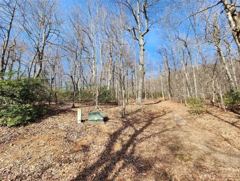 Lot 77 Three Bridges Drive Columbus NC 28722