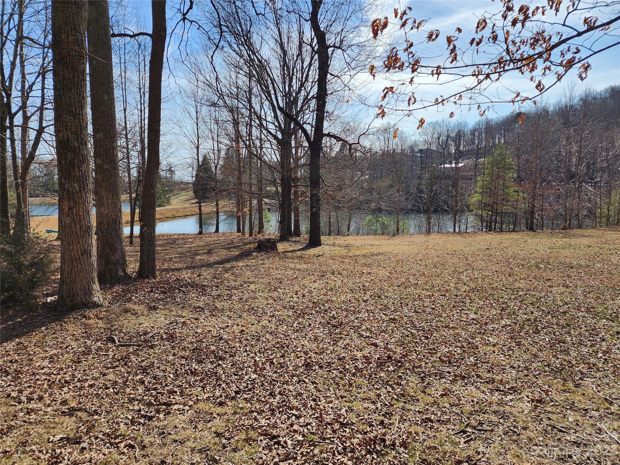 Lot 77 Three Bridges Drive Columbus NC 28722