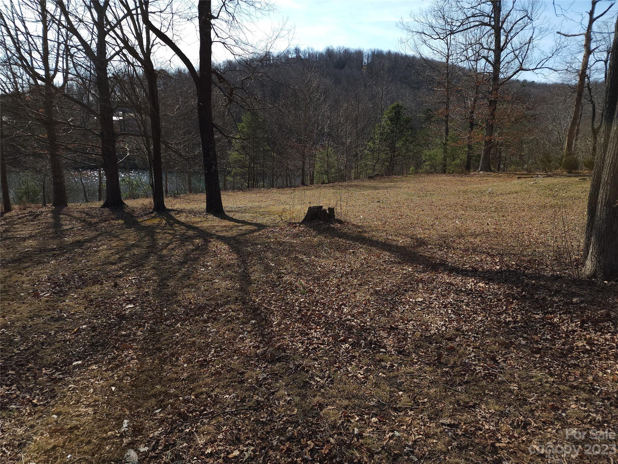 Lot 77 Three Bridges Drive Columbus NC 28722